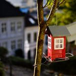 makelaar bergen op zoom